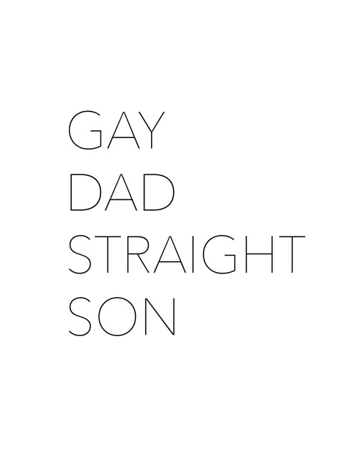 Gay Dad, Straight Son (2011) poster