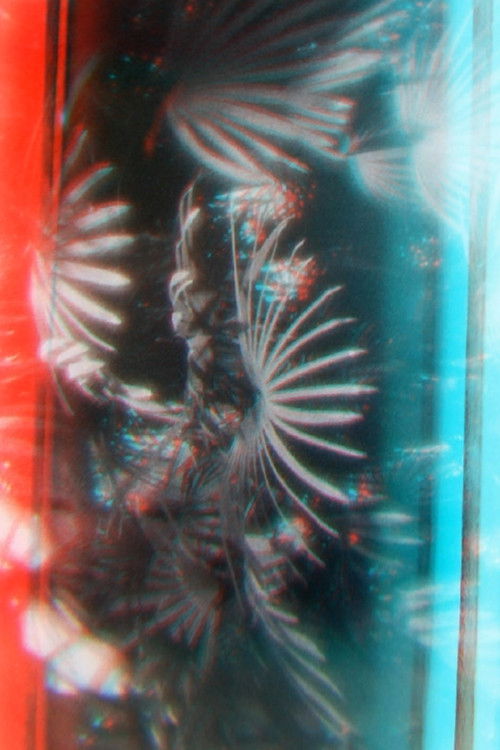 Lomokino Greenhouse Stereo (2015) poster