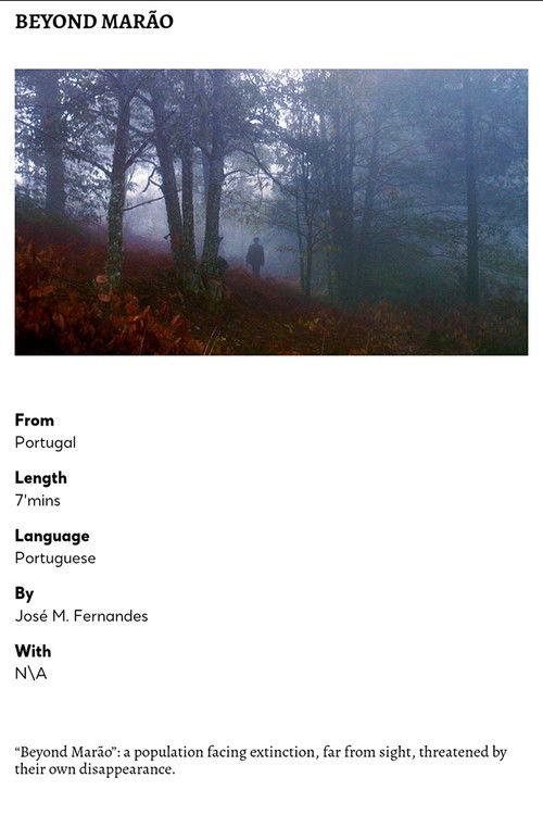 Beyond Marão (2014) poster