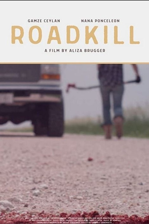 Roadkill (2020) poster