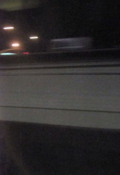 Vineland (2009) poster