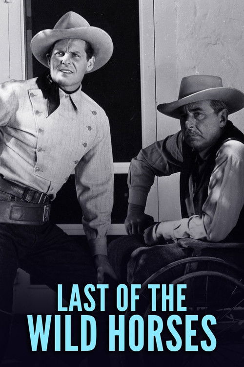 Last of the Wild Horses (1948) poster