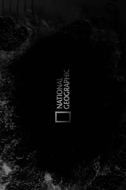 National Geographic: Lion Warriors (2010) poster