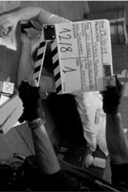 Mise à mort (2010) poster