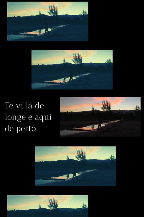 Te vi lá de longe e aqui de perto (2022) poster