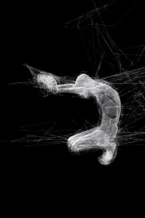 Chrysalide (2004) poster