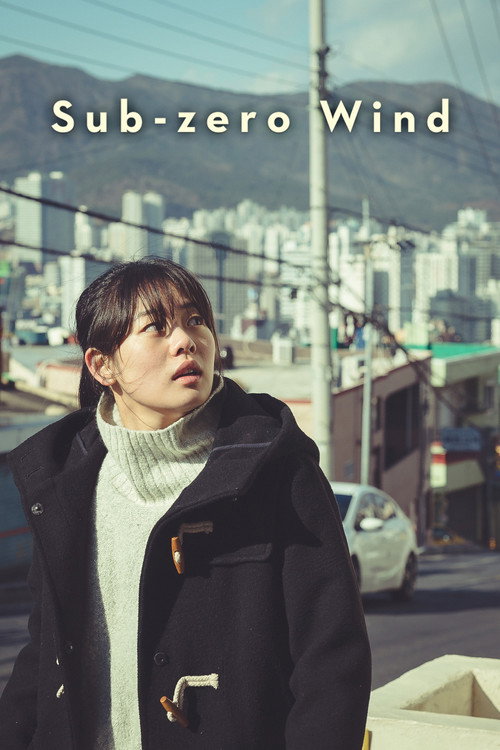 영하의 바람 (2019) poster