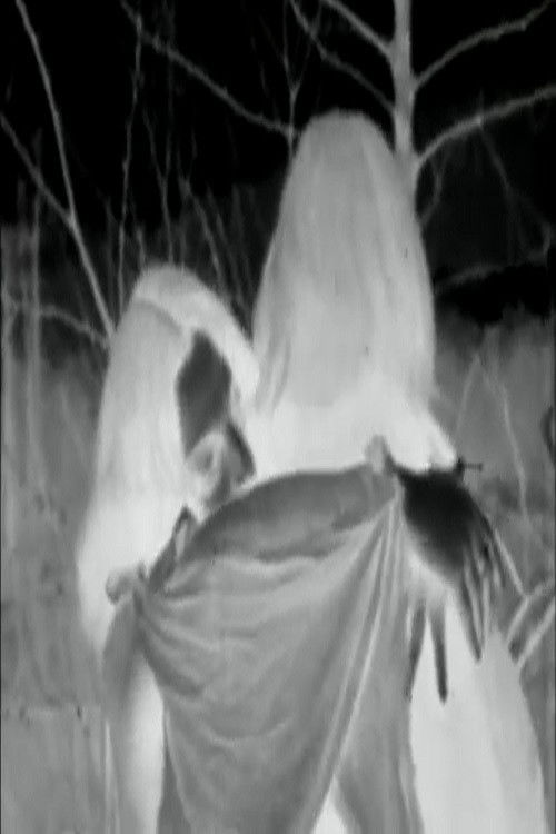 Black Snow (1971) poster