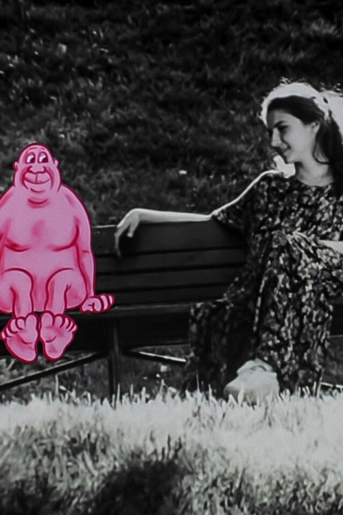 The birth (1995) poster