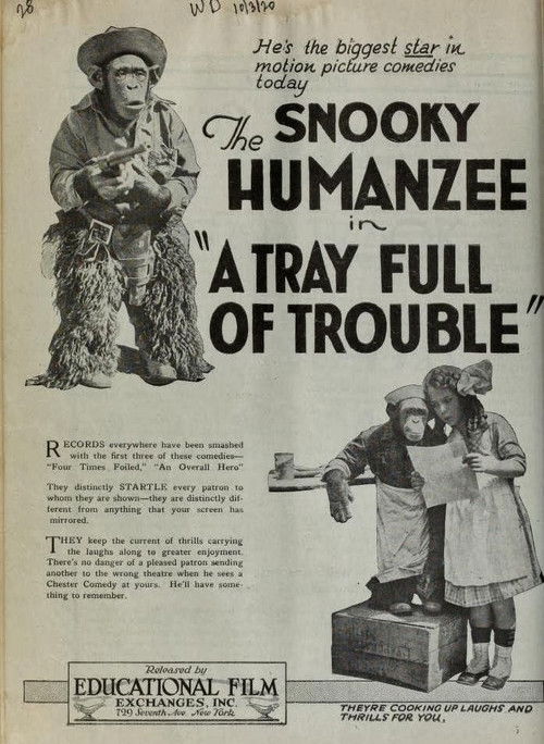 A Tray Full of Trouble (1920) poster