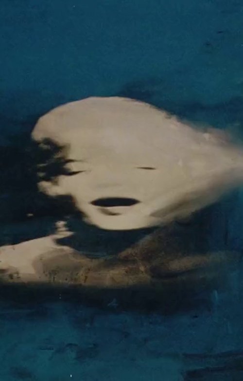 Biennale di Venezia 56° - Sigla (2015) poster