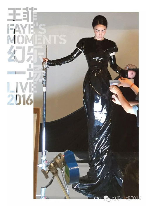 Faye Wong 'Faye's Moments' Live 2016 (2016) poster