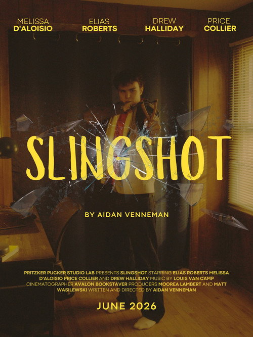 Slingshot (2026) poster