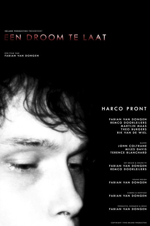 Een Droom Te Laat (1996) poster