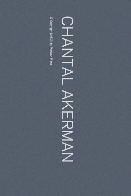 Chantal Akerman (2013) poster