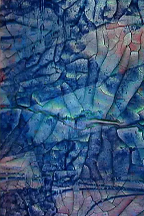 Neti Neti (Part II) (2010) poster