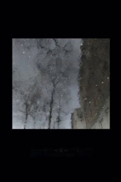 Rain Again (2023) poster