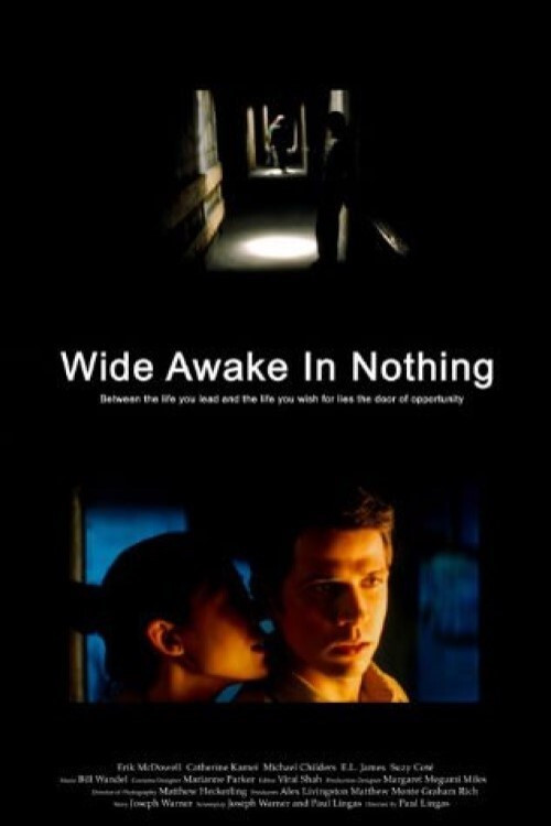 Wide Awake in Nothing (2004) poster