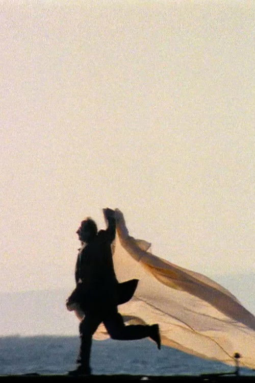 Deniz Türküsü (2001) poster