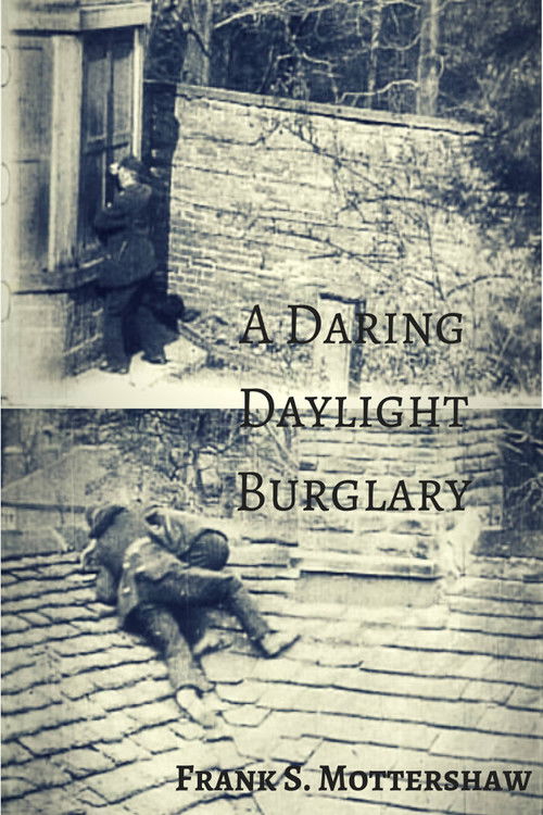 A Daring Daylight Burglary (1903) poster
