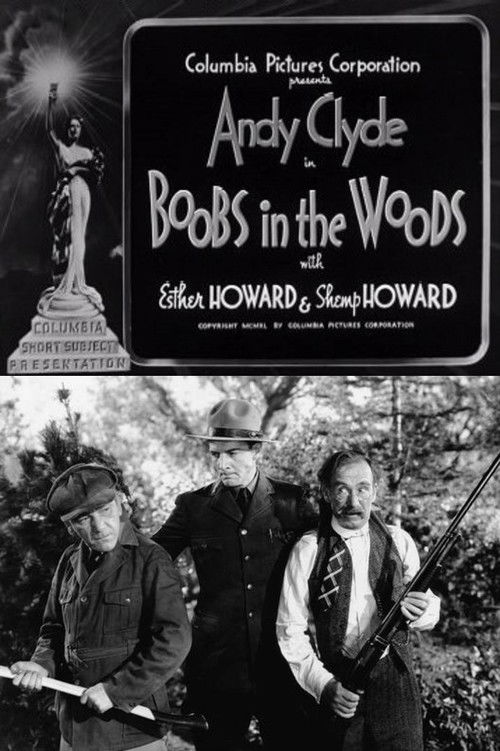 Boobs in the Woods (1940) poster
