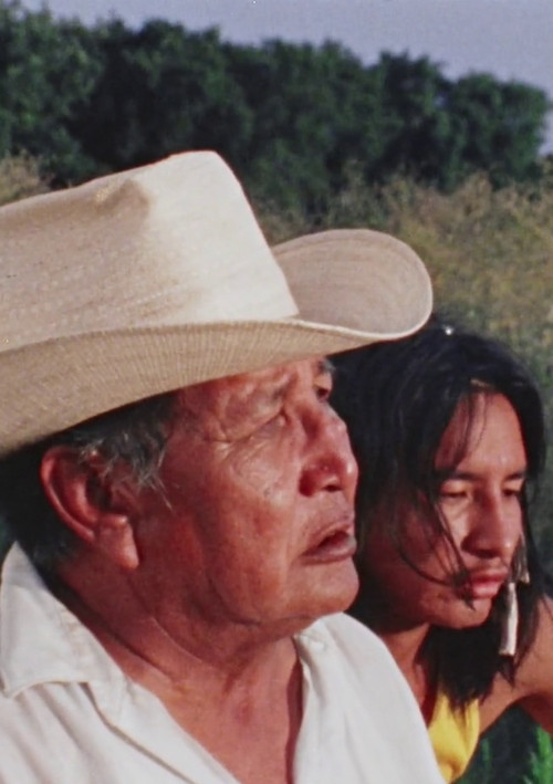 Musical Holdouts (1976) poster