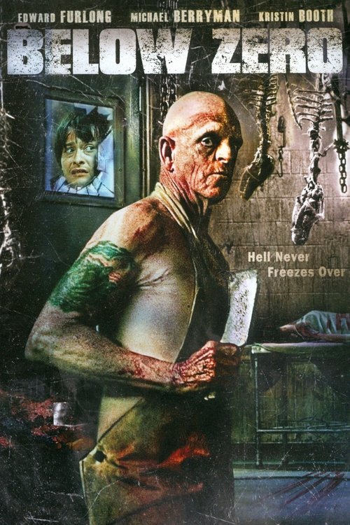 Below Zero (2011) poster