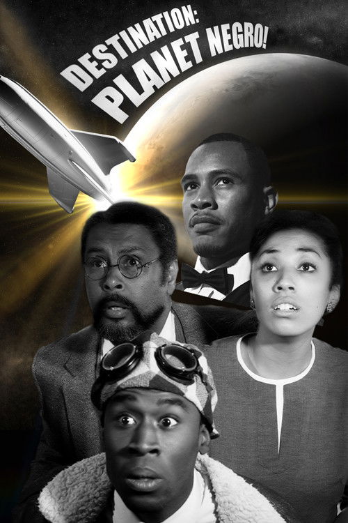 Destination: Planet Negro! (2013) poster