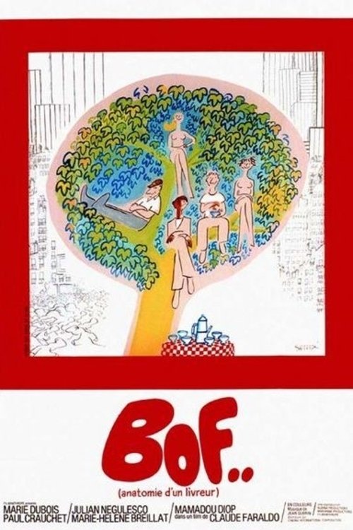 Bof… Anatomie d'un livreur (1971) poster