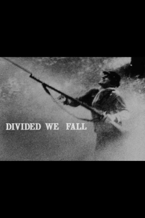 Divided We Fall (1982) poster