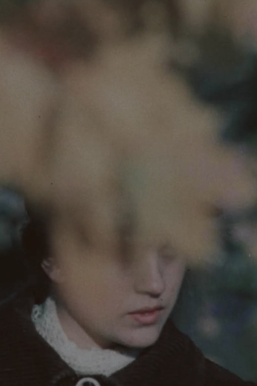 All Other Things Equal (2019) poster