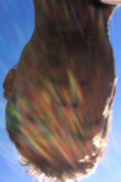 play god (2011) poster