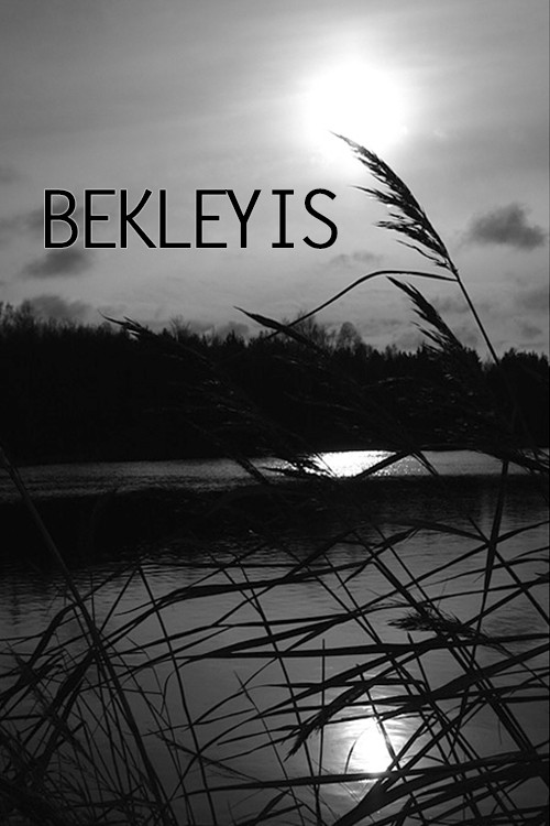 Bekleyis (1976) poster