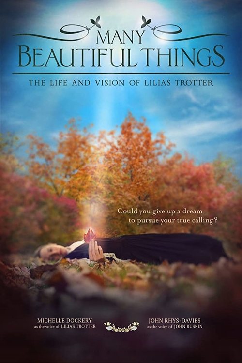 Many Beautiful Things (2015) poster