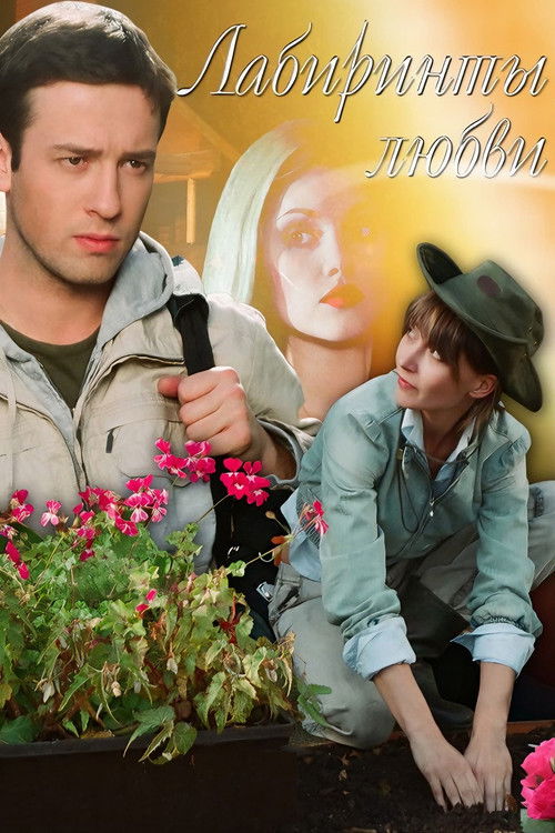 Лабиринты любви (2008) poster