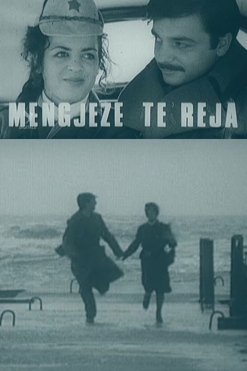 New Mornings (1980) poster