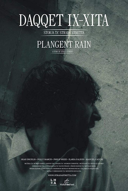 Plangent Rain (2011) poster