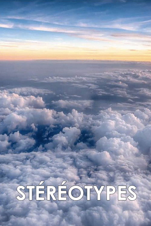 Stereotypes (1991) poster