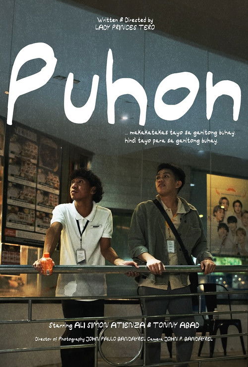 Someday (2025) poster