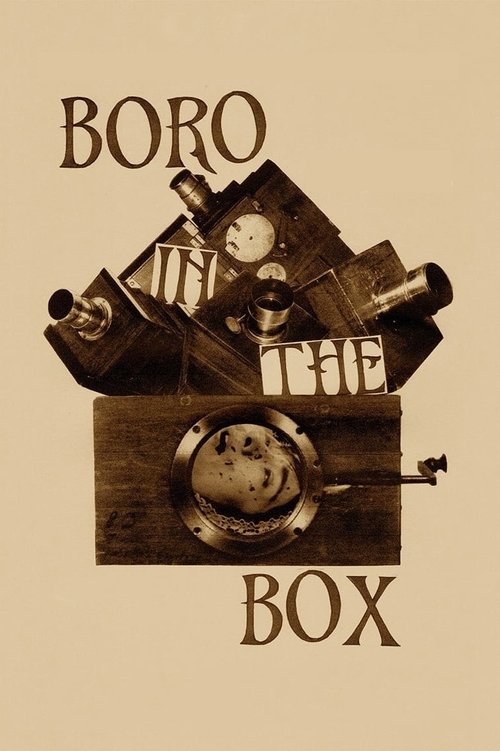 Boro in the Box (2014) poster