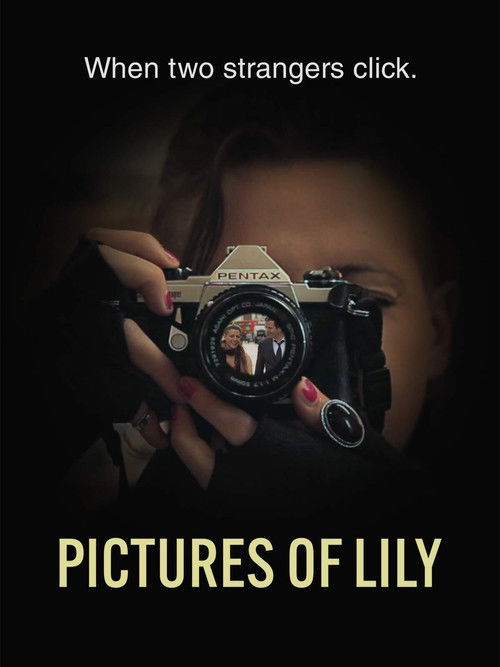 Pictures of Lily (2019) poster