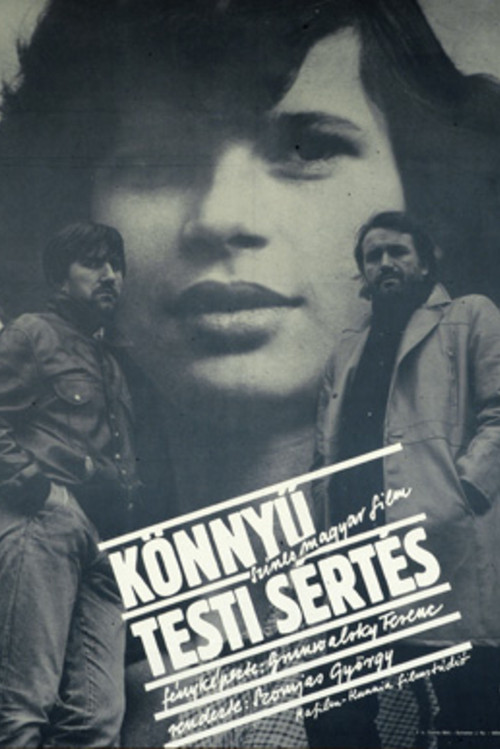 Könnyű testi sértés (1983) poster