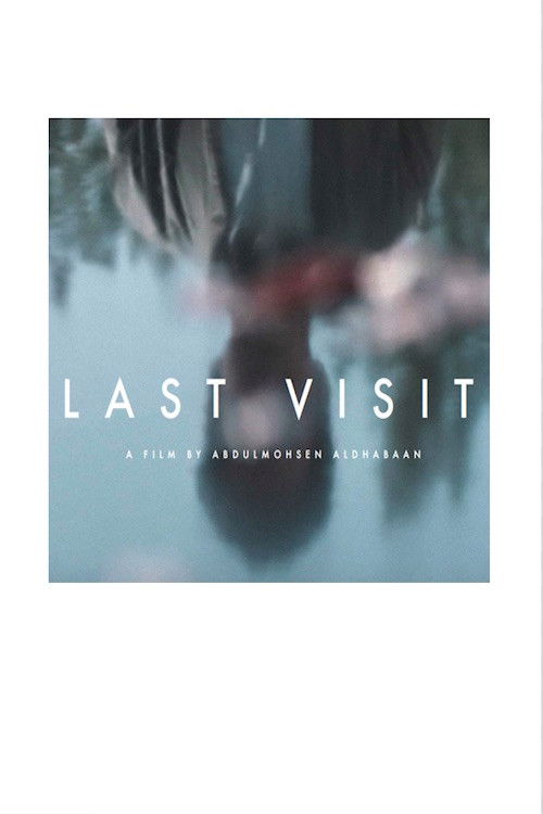 Last Visit (2019) poster