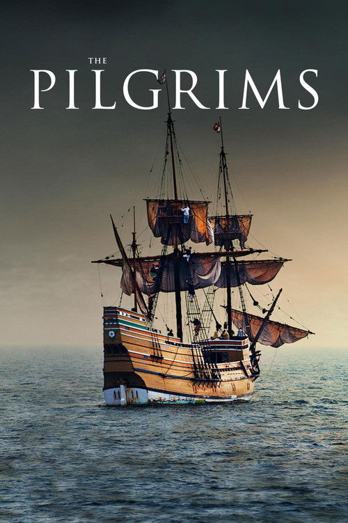 The Pilgrims (2015) poster