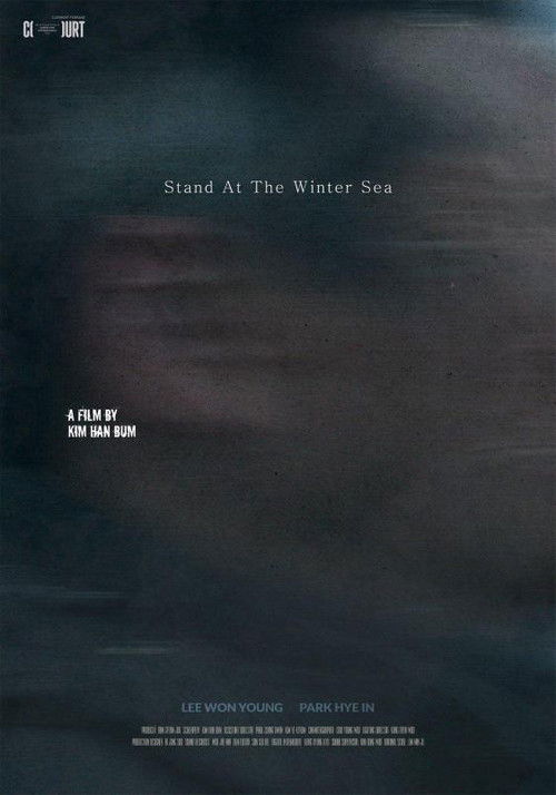Stand at the Winter Sea (2024) poster
