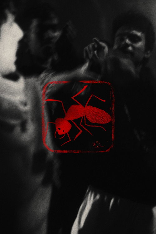 বিষ পিঁপড়া poster
