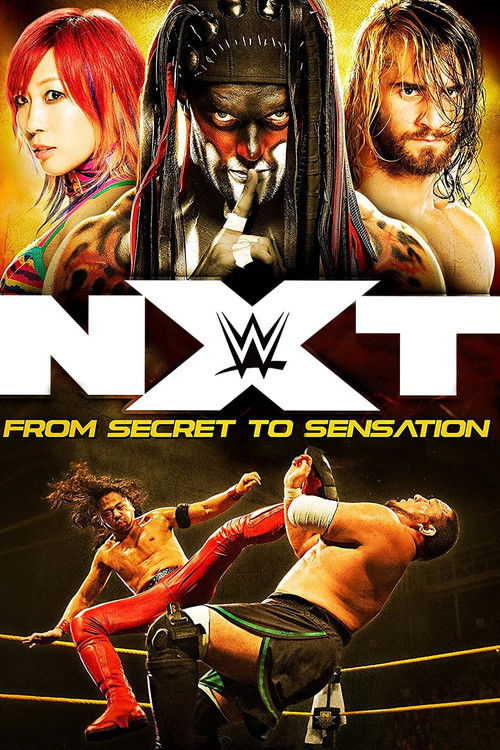 NXT: From Secret To Sensation (2017) poster