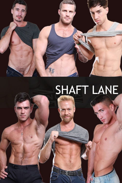 Shaft Lane (2013) poster