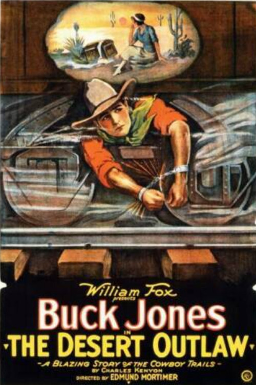 The Desert Outlaw (1924) poster