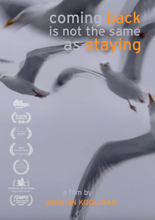Coming back is not the same as staying (2020) poster